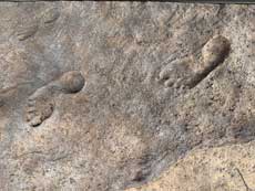 Hawaii Big Island footprints on he Kau desert Trail